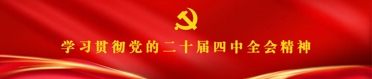 学习贯彻党的二十届四中全会精神专题网